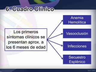 Anemia
                        Hemolítica

    Los primeros       Vasooclusión
síntomas clínicos se
 presentan aprox. a
los 6 meses de edad    Infecciones

                        Secuestro
                        Esplénico
 
