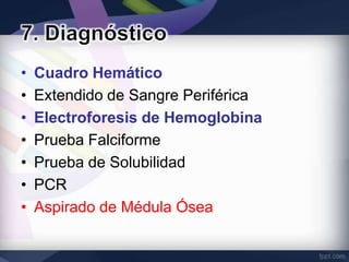 •   Cuadro Hemático
•   Extendido de Sangre Periférica
•   Electroforesis de Hemoglobina
•   Prueba Falciforme
•   Prueba de Solubilidad
•   PCR
•   Aspirado de Médula Ósea
 