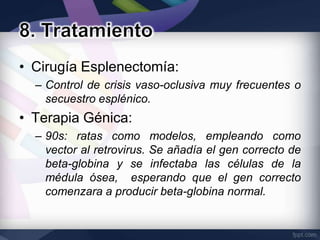 • Cirugía Esplenectomía:
  – Control de crisis vaso-oclusiva muy frecuentes o
    secuestro esplénico.
• Terapia Génica:
  – 90s: ratas como modelos, empleando como
    vector al retrovirus. Se añadía el gen correcto de
    beta-globina y se infectaba las células de la
    médula ósea, esperando que el gen correcto
    comenzara a producir beta-globina normal.
 