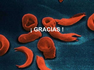¡ GRACIAS !
 