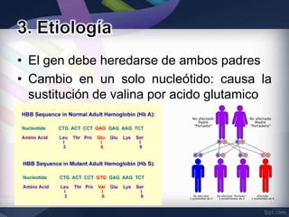 • El gen debe heredarse de ambos padres
• Cambio en un solo nucleótido: causa la
  sustitución de valina por acido glutamico
 