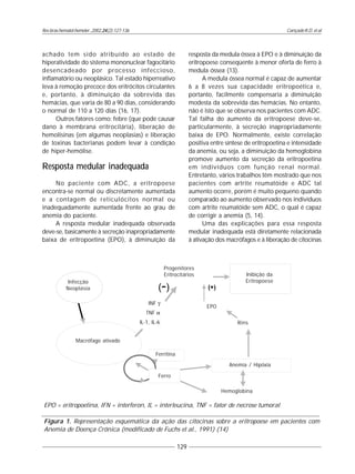 Cançado R.D. et al
129
Rev.bras.hematol.hemoter.,2002,24(2):127-136
achado tem sido atribuído ao estado de
hiperatividade do sistema mononuclear fagocitário
desencadeado por processo infeccioso,
inflamatório ou neoplásico. Tal estado hiperreativo
leva à remoção precoce dos eritrócitos circulantes
e, portanto, à diminuição da sobrevida das
hemácias, que varia de 80 a 90 dias, considerando
o normal de 110 a 120 dias (16, 17).
Outros fatores como: febre (que pode causar
dano à membrana eritrocitária), liberação de
hemolisinas (em algumas neoplasias) e liberação
de toxinas bacterianas podem levar à condição
de hiper-hemólise.
Resposta medular inadequada
No paciente com ADC, a eritropoese
encontra-se normal ou discretamente aumentada
e a contagem de reticulócitos normal ou
inadequadamente aumentada frente ao grau de
anemia do paciente.
A resposta medular inadequada observada
deve-se, basicamente à secreção inapropriadamente
baixa de eritropoetina (EPO), à diminuição da
resposta da medula óssea à EPO e à diminuição da
eritropoese conseqüente à menor oferta de ferro à
medula óssea (13).
A medula óssea normal é capaz de aumentar
6 a 8 vezes sua capacidade eritropoética e,
portanto, facilmente compensaria a diminuição
modesta da sobrevida das hemácias. No entanto,
não é isto que se observa nos pacientes com ADC.
Tal falha do aumento da eritropoese deve-se,
particularmente, à secreção inapropriadamente
baixa de EPO. Normalmente, existe correlação
positiva entre síntese de eritropoetina e intensidade
da anemia, ou seja, a diminuição da hemoglobina
promove aumento da secreção da eritropoetina
em indivíduos com função renal normal.
Entretanto, vários trabalhos têm mostrado que nos
pacientes com artrite reumatóide e ADC tal
aumento ocorre, porém é muito pequeno quando
comparado ao aumento observado nos indivíduos
com artrite reumatóide sem ADC, o qual é capaz
de corrigir a anemia (5, 14).
Uma das explicações para essa resposta
medular inadequada está diretamente relacionada
à ativação dos macrófagos e à liberação de citocinas
EPO = eritropoetina, IFN = interferon, IL = interleucina, TNF = fator de necrose tumoral
Figura 1. Representação esquemática da ação das citocinas sobre a eritropoese em pacientes com
Anemia de Doença Crônica (modificado de Fuchs et al., 1991) (14)
Infecção
Neoplasia
Macrófago ativado
Ferritina
Ferro
Progenitores
Eritrocitários
INF γ
TNF α
IL-1, IL-6
EPO
Rins
Inibição da
Eritropoese
Anemia / Hipóxia
Hemoglobina
 