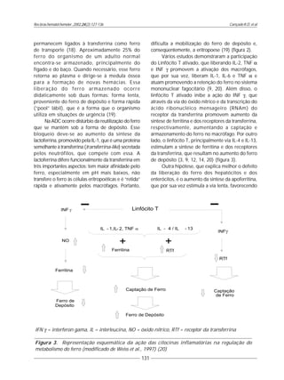 Cançado R.D. et al
131
Rev.bras.hematol.hemoter.,2002,24(2):127-136
permanecem ligados à transferrina como ferro
de transporte (18). Aproximadamente 25% do
ferro do organismo de um adulto normal
encontra-se armazenado, principalmente do
fígado e do baço. Quando necessário, esse ferro
retorna ao plasma e dirige-se à medula óssea
para a formação de novas hemácias. Essa
liberação do ferro armazenado ocorre
didaticamente sob duas formas: forma lenta,
proveniente do ferro de depósito e forma rápida
(“pool” lábil), que é a forma que o organismo
utiliza em situações de urgência (19).
Na ADC ocorre distúrbio da reutilização do ferro
que se mantém sob a forma de depósito. Esse
bloqueio deve-se ao aumento da síntese da
lactoferrina, promovido pela IL-1, que é uma proteína
semelhante à transferrina (transferrina-like) secretada
pelos neutrófilos, que compete com essa. A
lactoferrina difere funcionalmente da transferrina em
três importantes aspectos: tem maior afinidade pelo
ferro, especialmente em pH mais baixos, não
transfere o ferro às células eritropoéticas e é “retida”
rápida e ativamente pelos macrófagos. Portanto,
dificulta a mobilização do ferro de depósito e,
conseqüentemente, a eritropoese (19) (figura 2).
Vários estudos demonstraram a participação
do Linfócito T ativado, que liberando IL-2, TNF α
e INF γ promovem a ativação dos macrófagos,
que por sua vez, liberam IL-1, IL-6 e TNF α e
atuam promovendo a retenção do ferro no sistema
mononuclear fagocitário (9, 20). Além disso, o
linfócito T ativado inibe a ação do INF γ, que
através da via do óxido nítrico e da transcrição do
ácido ribonucléico mensageiro (RNAm) do
receptor da transferrina promovem aumento da
síntese de ferritina e dos receptores da transferrina,
respectivamente, aumentando a captação e
armazenamento do ferro no macrófago. Por outro
lado, o linfócito T, principalmente via IL-4 e IL-13,
estimulam a síntese de ferritina e dos receptores
da transferrina, que resultam no aumento do ferro
de depósito (3, 9, 12, 14, 20) (figura 3).
Outra hipótese, que explica melhor o defeito
da liberação do ferro dos hepatócitos e dos
enterócitos, é o aumento da síntese da apoferritina,
que por sua vez estimula a via lenta, favorecendo
IFN γ = interferon gama, IL = interleucina, NO = óxido nítrico, RTf = receptor da transferrina
Figura 3. Representação esquemática da ação das citocinas inflamatórias na regulação do
metabolismo do ferro (modificado de Weiss et al., 1997) (20)
 