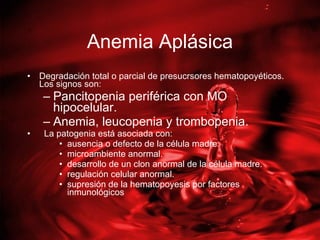 Anemia Aplásica Degradación total o parcial de presucrsores hematopoyéticos. Los signos son:  Pancitopenia periférica con MO hipocelular. Anemia, leucopenia y trombopenia. La patogenia está asociada con: ausencia o defecto de la célula madre. microambiente anormal. desarrollo de un clon anormal de la célula madre. regulación celular anormal. supresión de la hematopoyesis por factores inmunológicos  