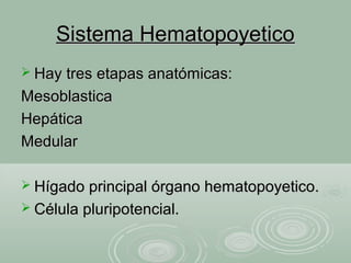 Sistema HematopoyeticoSistema Hematopoyetico
 Hay tres etapas anatómicas:Hay tres etapas anatómicas:
MesoblasticaMesoblastica
HepáticaHepática
MedularMedular
 Hígado principal órgano hematopoyetico.Hígado principal órgano hematopoyetico.
 Célula pluripotencial.Célula pluripotencial.
 