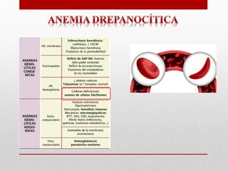 Anemia Drepanocítica Presentacion, que es | PDF