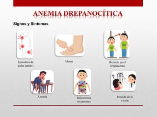 Anemia Drepanocítica Presentacion, que es | PDF