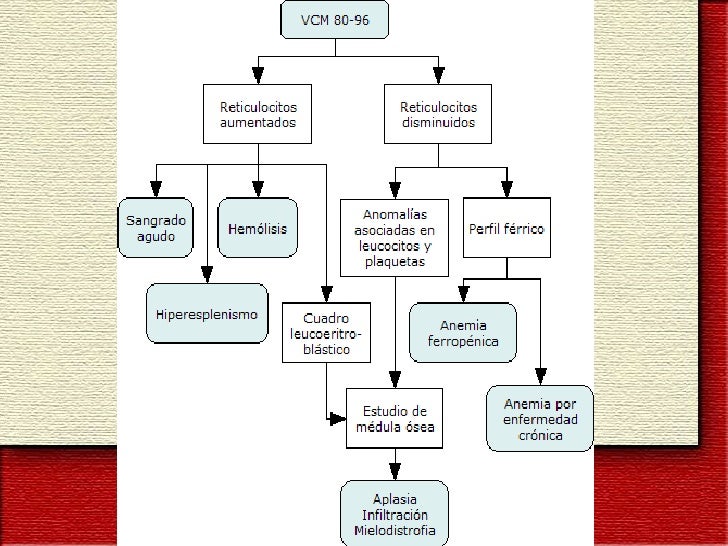 Anemia en el Embarazo ppt