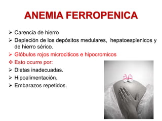 ANEMIA FERROPENICA
 Carencia de hierro
 Depleción de los depósitos medulares, hepatoesplenicos y
de hierro sérico.
 Glóbulos rojos microciticos e hipocromicos
 Esto ocurre por:
 Dietas inadecuadas.
 Hipoalimentación.
 Embarazos repetidos.
 