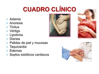 CUADRO CLÍNICO
 Astenia
 Anorexia
 Tinitus
 Vértigo
 Lipotimia
 Disnea
 Palidez de piel y mucosas
 Taquicardia
 Edemas
 Soplos sistólicos cardiacos
 