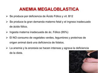 ANEMIA MEGALOBLASTICA
 Se produce por deficiencia de Ácido Fólico y vit. B12
 Se produce la gran demanda materno fetal y el ingreso inadecuado
de ácido fólico.
 Ingesta materna inadecuada de ác. Fólico (95%)
 El NO consumo de vegetales verdes, legumbres y proteínas de
origen animal dará una deficiencia de folatos.
 La anemia y la anorexia se hacen intensas y agrava la deficiencia
de la dieta.
 