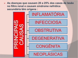  As doenças que causam 20 a 25% dos casos de lesão
no filtro renal e causam síndrome nefrótica
secundária têm origens :
INFLAMATÓRIA
INFECCIOSA
OBSTRUTIVA
DEGENERATIVA
CONGÊNITA
NEOPLÁSICAS
 