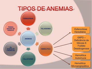 ANEMIAS
FERROPRIVA
TELASSEMIA
HEMOLÍTICA
FALCIFORME
De
DOENÇAS
CRÔNICAS
PERDA
AGUDA DE
SANGUE
Esferocitose
Hereditária
G6PD –
Deficiência da
Glicose 6
Fosfato
Desidrogenase
Hemolítica
Autoimune
Hemolítica
Microangiopática
 
