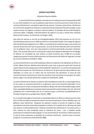 UNIVERSIDAD TÉCNICA DEL NORTE – FICAYA– BIOTECNOLOGIA – 2015 Página 1
ANEMIA FALCIFORME
Alejandra Plasencia Bedón
La anemiafalciforme otambiénconocidaconel nombre de anemia drepanocítica (AD)
es una enfermedad en la cual los glóbulos rojos tienen una forma anormal a manera de una
semiluna(falciformes), causando la aparición de anemia. Y al pasar estas células falciformes
por el torrente sanguíneo se produce unatascamientoque bloqueael flujode lasangre,loque
puede lesionar los órganos y producir intensos dolores. El portador de esta enfermedad se
encuentra débil y fatigado, sintiendo dolores de cabeza o sus pies y manos frías (Instituto
Nacional del Corazón, los Pulmones y la Sangre, 2013).
Esta clase de anemia es una de las hemoglobinopatías (ECF) más comunes en los E.E.U.U.
identificadaporprimeravezen1910 porHerrick enlosEstadosUnidos. Pero luego de algunos
años Dresbachpudodiagnosticar en 1904 a un estudiante de medicina negro, que poseía una
clase de células de color rojo muy peculiares, no eran de forma redonda como normalmente
son los glóbulos rojos, sino que estas poseían una forma pareciendo una elipse (Serjeant,
2011). Esto se pudo observarenunbocetode sangre para trabajode laboratorioenhistología.
Al obtener los resultados de este análisis se pudo encontrar que el 90% de sus células
sanguíneasposeíanlaforma elípticaanormal,de dimensiones del doble de largo por la mitad
de su ancho (Anderson & Robert, 1932).
La anemiafalciforme esuna enfermedad que afecta en especial a los habitantes de África, el
Caribe, Medio Oriente, Mediterráneo Oriental y Asia. Esto se generó a partir del intento de
supervivenciafrenteal ataque de laenfermedad del “paludismo”, el cual fue formando parte
del genoma humano con más frecuencia al transcurrir las generaciones descendientes que
habitaban en zonas con un índice alto de transmisión del paludismo. A causa de este
acontecimientoenestasáreasse comenzó a producir más mutaciones en este gen, las cuales
dieron origen a las células falciformes sanguíneas (KidsHealth, 2014).
La anemiafalciforme se expresa cuando ha sido heredada por parte de sus dos progenitores,
en los cuales se encuentra presente en el genoma, mas no se encuentra expresada. Y el un
supuestocasoenel que una pareja de portadores del gen de esta enfermedad tengan cuatro
hijos,laprobabilidadde que se expreseel genprovocandolaenfermedad es de 1/4, 2/4 serán
portadores de la enfermedad mas no se expresa el gen, y 1/4 tiene la probabilidad de no
heredar este gen de sus progenitores (Zyrtec, 2000).
En un estudiorealizadoenfunciónde la mortalidad infantil en África se obtuvo que los niños
de 0 a 5 años de edadson propensosatenerunamuerte prematura. Esto es debido a que, los
glóbulos rojos falciformes bloquean los capilares cuando la tensión de oxigeno es baja,
quenadoloseritrocitosanormalesatrapadosenel bazo. Enlos bebés de 6 a 18 meses de edad
que poseen la enfermedad suelen expresar tumefacciones dolorosas en las manos y pies, y
este síntoma ha sido nombrado como el síndrome de mano – pie, o también puede
presentarse el síndrome torácicoagudo, el cual comprende de neumonía o infarto pulmonar.
A más de estos síndromes el portador de la anemia manifiesta necrosis ósea o articular,
priapismo o insuficiencia renal (SALUD, 2006).
 