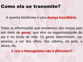 Como ela se transmite?
A anemia falciforme é uma doença hereditária.
Todas as informações que recebemos dos nossos pais
por meio de genes, que vêm no espermatozoide do
pai e no óvulo da mãe. Os genes determinam, nas
pessoas, a cor dos olhos, dos cabelos, da pele, a
altura, etc.
E com a Hemoglobina não é diferente!!!
 