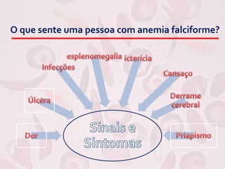 O que sente uma pessoa com anemia falciforme?
 