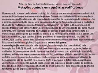 Antes de falar da Anemia Falciforme, vamos falar um pouco de:
Mutações pontuais em sequências codificadoras
Uma mutação pontual pode alterar o código da trinca de nucleotídeos e causar a substituição
de um aminoácido por outro no produto gênico. Como essas mutações alteram a sequência
das proteínas codificadas, elas são chamadas de mutações de sentido trocado (missense). Se
o aminoácido substituído causar uma pequena mudança na função da proteína, a mutação é
chamada de mutação de sentido trocado “conservadora”. Por outro lado, na mutação de
sentido trocado “não conservadora”, ocorre substituição de um aminoácido por outro muito
diferente. Um exemplo excelente de mutação de sentido trocado não conservadora é a
mutação que afeta o gene que codifica a cadeia β da hemoglobina. Neste caso, o códon CTC
(ou GAG no mRNA), que codifica o ácido glutâmico, é substituído pelo CAC (ou GUG no
mRNA), que codifica valina. Essa substituição de um único aminoácido altera as propriedades
físico-químicas da hemoglobina, originando a anemia falciforme.
A anemia falciforme é causada pela substituição da hemoglobina normal (HbA) pela
hemoglobina S (HbS). Quando um indivíduo é homozigoto para o gene mutante, todas as
moléculas de hemoglobina são do tipo anormal HbS, e mesmo com a saturação normal do
oxigênio, a doença se expressa completamente (i.e., aparecem glóbulos vermelhos em forma
de foice e ocorre a anemia hemolítica). Em heterozigotos, somente algumas moléculas de
hemoglobinas são do tipo HbS (o restante é HbA) e, portanto, a deformação dos glóbulos
vermelhos ocorre somente quando essas células são expostas a baixas tensões de oxigênio.
Essa condição em heterozigotos é chamada de traço falciforme, para diferenciá-la da anemia
falciforme que se expressa completamente.
 