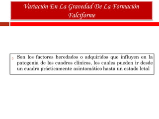 Variación En La Gravedad De La Formación
Falciforme
Son los factores heredados o adquiridos que influyen en la
patogenia de los cuadros clínicos, los cuales pueden ir desde
un cuadro prácticamente asintomático hasta un estado letal
 
