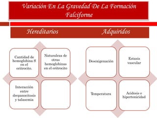 Cantidad de
hemoglobina S
en el
eritrocito.
Naturaleza de
otras
hemoglobinas
en el eritrocito
Interacción
entre
drepanocitosis
y talasemia
Hereditarios Adquiridos
Variación En La Gravedad De La Formación
Falciforme
Desoxigenación
Estasis
vascular
Temperatura Acidosis e
hipertonicidad
 