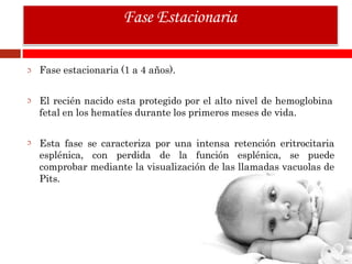 Fase estacionaria (1 a 4 años).
El recién nacido esta protegido por el alto nivel de hemoglobina
fetal en los hematíes durante los primeros meses de vida.
Esta fase se caracteriza por una intensa retención eritrocitaria
esplénica, con perdida de la función esplénica, se puede
comprobar mediante la visualización de las llamadas vacuolas de
Pits.
Fase Estacionaria
 