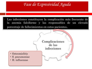Las infecciones constituyen la complicación más frecuente de
la anemia falciforme y las responsables de un elevado
porcentaje de fallecimientos en estos pacientes.
Fase de Expresividad Aguda
Complicaciones
de las
infecciones
• Osteomielitis
• S. pneumoniae
• H. influenzae
 