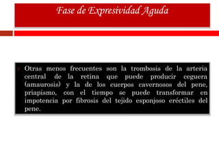 Otras menos frecuentes son la trombosis de la arteria
cegueracentral de
(amaurosis)
priapismo,
la retina
y
con
que puede producir
la de los cuerpos cavernosos del pene,
el tiempo se puede transformar en
impotencia por fibrosis del tejido esponjoso eréctiles del
pene.
Fase de Expresividad Aguda
 