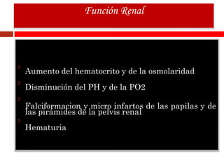 Aumento del hematocrito y de la osmolaridad
Disminución del PH y de la PO2
Falciformacion y micro infartos de las papilas y de
las pirámides de la pelvis renal
Hematuria
Función Renal
 
