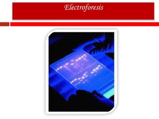 Electroforesis
 