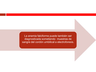 La anemia falciforme puede también ser
diagnosticada sometiendo muestras de
sangre del cordón umbilical a electroforesis.
 