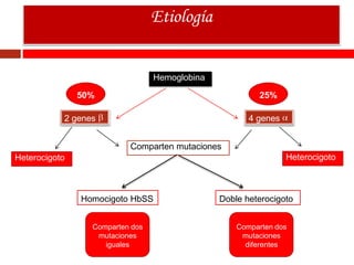 Etiología
Hemoglobina
2 genes 4 genes
Doble heterocigotoHomocigoto HbSS
Heterocigoto Heterocigoto
Comparten mutaciones
Comparten dos
mutaciones
diferentes
Comparten dos
mutaciones
iguales
50% 25%
 