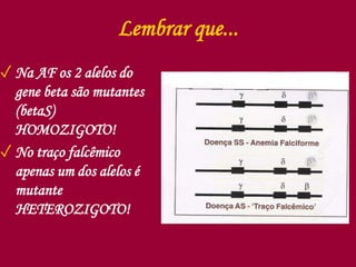 Lembrar que...
✓ Na AF os 2 alelos do
gene beta são mutantes
(betaS)
HOMOZIGOTO!
✓ No traço falcêmico
apenas um dos alelos é
mutante
HETEROZIGOTO!
 