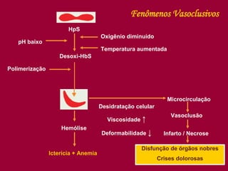 HpS
Desoxi-HbS
Oxigênio diminuído
Temperatura aumentada
pH baixo
Polimerização
Hemólise
Icterícia + Anemia
Desidratação celular
Viscosidade ↑
Deformabilidade ↓
Microcirculação
Vasoclusão
Infarto / Necrose
Disfunção de órgãos nobres
Crises dolorosas
Fenômenos Vasoclusivos
 