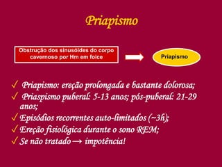 Priapismo
✓ Priapismo: ereção prolongada e bastante dolorosa;
✓ Priaspismo puberal: 5-13 anos; pós-puberal: 21-29
anos;
✓Episódios recorrentes auto-limitados (~3h);
✓Ereção fisiológica durante o sono REM;
✓Se não tratado → impotência!
Obstrução dos sinusóides do corpo
cavernoso por Hm em foice Priapismo
 