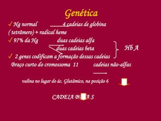 Genética
✓Hg normal 4 cadeias de globina
( tetrâmero) + radical heme
✓97% da Hg duas cadeias alfa
duas cadeias beta
✓ 2 genes codificam a formação dessas cadeias
Braço curto do cromossoma 11 cadeias não-alfas
valina no lugar do ác. Glutâmico, na posição 6
CADEIA BETA S
Hb A
 