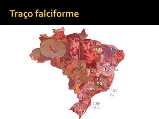 1:23 1.9%
1:17
Salvador0.2%
1.8%
1:23
MG
1:21
RJ
1:65
SUL
 