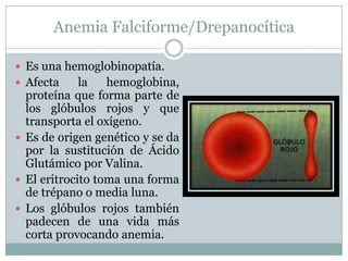 Anemia Falciforme/Drepanocítica

 Es una hemoglobinopatía.
 Afecta     la   hemoglobina,
  proteína que forma parte de
  los glóbulos rojos y que
  transporta el oxígeno.
 Es de origen genético y se da
  por la sustitución de Ácido
  Glutámico por Valina.
 El eritrocito toma una forma
  de trépano o media luna.
 Los glóbulos rojos también
  padecen de una vida más
  corta provocando anemia.
 