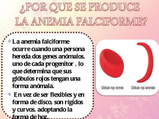 La anemia falciforme ocurre cuando una persona hereda dos genes anómalos, uno de cada progenitor , lo que determina que sus glóbulos rojos tengan una forma anómala. En vez de ser flexibles y en forma de disco, son rígidos y curvos, adoptando la forma de hoz. 