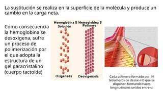ANEMIA FALCIFORME, UNA BREVE EXPLICAIÓN.pptx