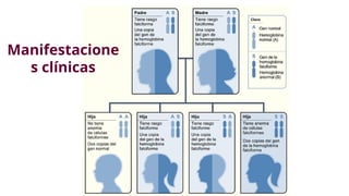 ANEMIA FALCIFORME, UNA BREVE EXPLICAIÓN.pptx