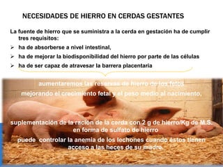 NECESIDADES DE HIERRO EN CERDAS GESTANTES
La fuente de hierro que se suministra a la cerda en gestación ha de cumplir
tres requisitos:
 ha de absorberse a nivel intestinal,
 ha de mejorar la biodisponibilidad del hierro por parte de las células
 ha de ser capaz de atravesar la barrera placentaria
aumentaremos las reservas de hierro de los fetos
mejorando el crecimiento fetal y el peso medio al nacimiento,
suplementación de la ración de la cerda con 2 g de hierro/Kg de M.S.
en forma de sulfato de hierro
puede controlar la anemia de los lechones cuando éstos tienen
acceso a las heces de su madre.
 