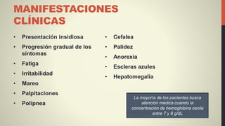 MANIFESTACIONES
CLÍNICAS
• Presentación insidiosa
• Progresión gradual de los
síntomas
• Fatiga
• Irritabilidad
• Mareo
• Palpitaciones
• Polipnea
• Cefalea
• Palidez
• Anorexia
• Escleras azules
• Hepatomegalia
La mayoría de los pacientes busca
atención médica cuando la
concentración de hemoglobina oscila
entre 7 y 8 g/dL
 