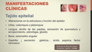 MANIFESTACIONES
CLÍNICAS
Tejido epitelial
• Alteraciones en la estructura y función del epitelio
• Uñas: coiloniquia o platoniquia
• Lengua: atrofia de las papilas, sensación de quemadura y
enrojecimiento, odinofagia, glositis
• Boca: estomatitis angular
• Gastritis: ↓ secreción gástrica… ácido, pepsina, factor
intrínseco.
SÍndrome de Plummer-Vinson:
ferropenia + glositis + disfagia
 