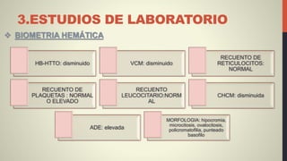 3.ESTUDIOS DE LABORATORIO
 BIOMETRIA HEMÁTICA
HB-HTTO: disminuido VCM: disminuido
RECUENTO DE
RETICULOCITOS:
NORMAL
RECUENTO DE
PLAQUETAS : NORMAL
O ELEVADO
RECUENTO
LEUCOCITARIO:NORM
AL
CHCM: disminuida
ADE: elevada
MORFOLOGIA: hipocromia,
microcitosis, ovalocitosis,
policromatofilia, punteado
basofilo
 