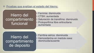  Pruebas que evalúan el estado del hierro:
• Ferrimia: disminuida
• CTSH: aumentada
• Saturación de transfrina: disminuido
• Protoporfirina libre eritrocitaria:
aumentada
Hierro del
compartimiento
funcional
• Ferritina sérica: disminuida
• Hemosiderina en medula osea:
disminuida/ausente
Hierro del
compartimiento
de deposito
 