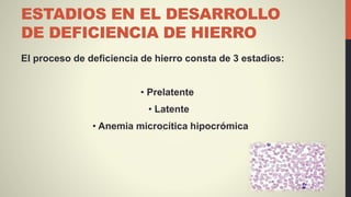 ESTADIOS EN EL DESARROLLO
DE DEFICIENCIA DE HIERRO
El proceso de deficiencia de hierro consta de 3 estadios:
• Prelatente
• Latente
• Anemia microcítica hipocrómica
 