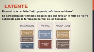 LATENTE
Denominado también “eritropoyesis deficiente en hierro”.
Se caracteriza por cambios bioquímicos que reflejan la falta de hierro
suficiente para la formación normal de los hematíes.
DISMINUIDOS
Hierro sérico
(HS)
Saturación de
transferrina (ST)
Ferritina sérica
(FS)
NORMAL
Hemoglobina
(HB)
Hematocrito
(HTTO)
AUMENTADOS
Capacidad total
de fijacion de
hierro (CTFH)
Protoporfirina
libre eritrocitaria
(PLE)
 