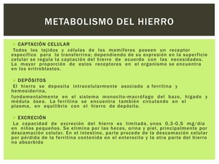  CAPTACIÓN CELULAR
Todos los tejidos y células de los mamíferos poseen un receptor
específico para la transferrina; dependiendo de su expresión en la superficie
celular se regula la captación del hierro de acuerdo con las necesidades.
La mayor proporción de estos receptores en el organismo se encuentra
en los eritroblastos.
 DEPÓSITOS
El hierro se deposita intracelularmente asociado a ferritina y
hemosiderina,
fundamentalmente en el sistema monocito-macrófago del bazo, hígado y
médula ósea. La ferritina se encuentra también circulando en el
plasma, en equilibrio con el hierro de depósito.
 EXCRECIÓN
La capacidad de excreción del hierro es limitada, unos 0,3 -0,5 mg/día
en niños pequeños. Se elimina por las heces, orina y piel, principalmente por
descamación celular. En el intestino, parte procede de la descamación celular
por pérdida de la ferritina contenida en el enterocito y la otra parte del hierro
no absorbido
METABOLISMO DEL HIERRO
 