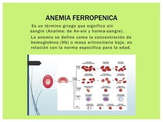 Es un término griego que significa sin
sangre (Anaima: de An-sin y haima-sangre).
La anemia se define como la concentración de
hemoglobina (Hb) o masa eritrocitaria baja, en
relación con la norma específica para la edad.
ANEMIA FERROPENICA
 