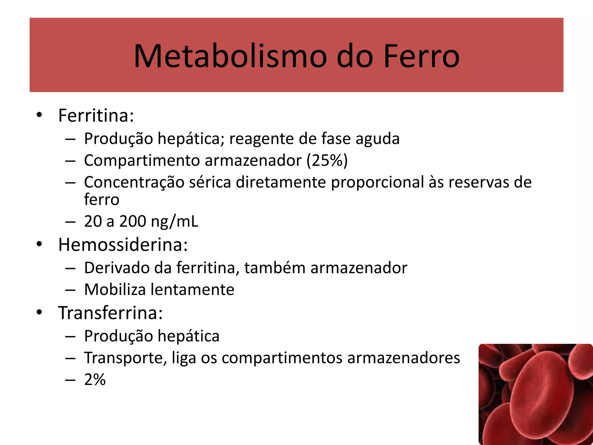 Anemia Ferropriva | PPTX | Blood Disorders | Diseases and Conditions