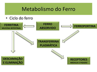 Metabolismo do Ferro
• Ciclo do ferro
FERRO
ABSORVIDO
FERROPORTINAFERRITINA
MUCOSA INTESTINAL
RECEPTORES
MEDULA E FIGADO
DESCAMAÇÃO
E ELIMINAÇÃO
TRANSFERRINA
PLASMÁTICA
 